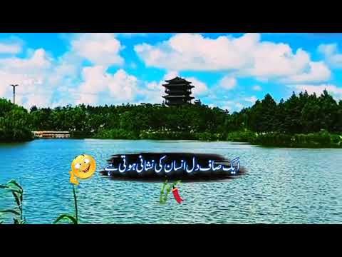 jazbati log Dil ka saf hota Hain #whatsappstatus #urdupotery#motivation #sadpotery