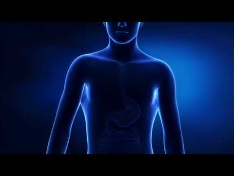 Funktion der Magensäure