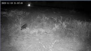 Thumbnail del capítulo