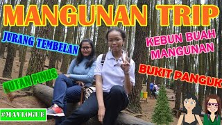preview picture of video '#MAVlogue #19 Mangunan Trip || Jurang Tembelan - Bukit Panguk - Kebun Buah Mangunan - Hutan Pinus'