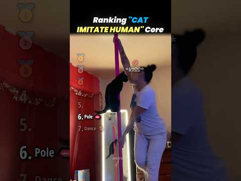 Ranking CAT IMITATE HUMAN Core Moments!! 🐱🪞