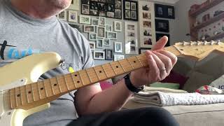 Wall of Voodoo: Tse tse fly: Guitar Cover: Playthrough