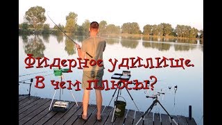 В чем отличие карпового от фидерного удилища