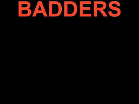 Skrillex, PEEKABOO, Flowdan, & G-Rex - Badders