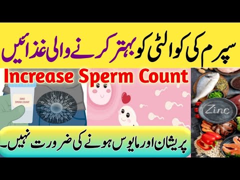 How To Increase Sperm Count With Food/Low Sperm Count Treatment | Mufeed Malomati Tv