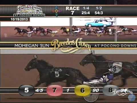 I Luv The Nitelife - 2013 Breeders Crown Final - Three-Year-Old Filly Pacers