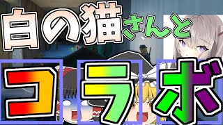 【フォートナイト】ついに白の猫さんとコラボしてしまいました...！！ part5 【ゆっくり実況】 【コラボ】