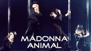 MADONNA - ANIMAL (Unreleased song) (with lyrics)