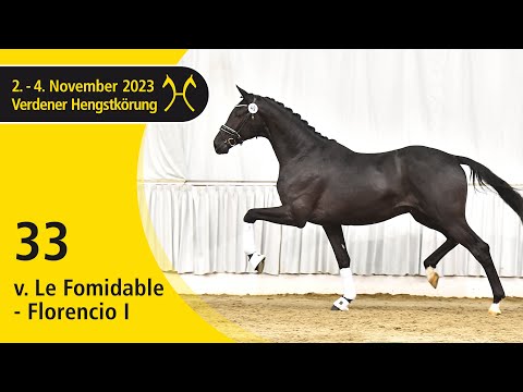 Verden Stallion Licensing 2023 - Dressage - Nov. 2-4 - No. 33 Stallion by Le Formidable