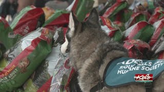 Sioux Falls pet food drive ongoing: How you can help