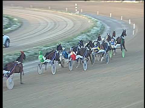 Trotto 13/10/2017 - 7ª corsa