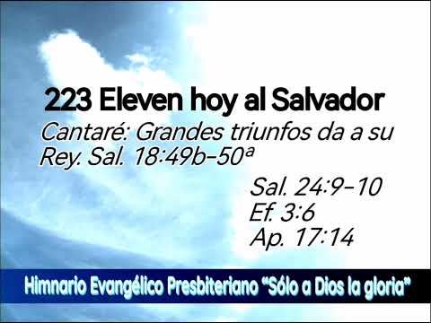 223 Eleven hoy al Salvador