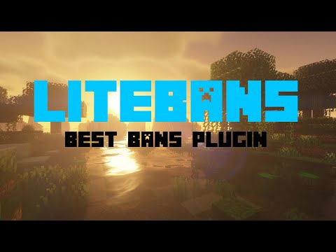 Best Minecraft Bans Plugin: Litebans Review