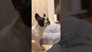 音が気になって仕方ないみたい
