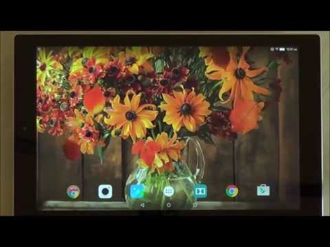 Autumn Flower Live Wallpaper Video