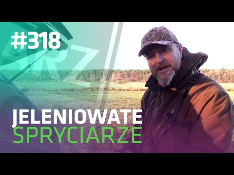 Darz Bór odc 318 - Jeleniowate spryciarze