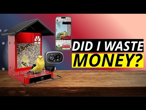 Squirrels HATE This! ️ Richbird Metal Smart Feeder Review (AI Camera Test)