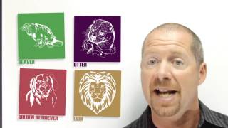 TeamBuild Animal Personality Assessment Video