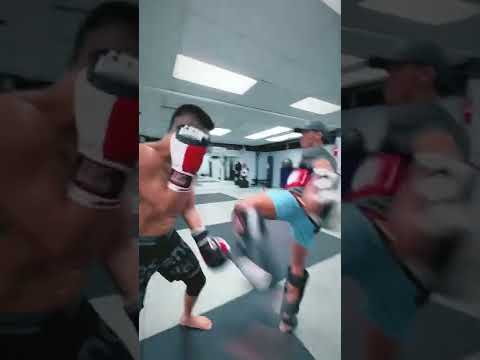 Muay Thai pad smash