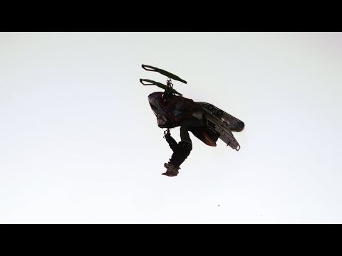 RIDESTORE - Training session with Rasmus and Flanders