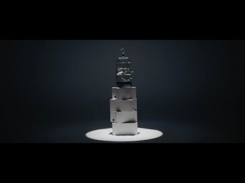 Archy - Tell Me (Official Video)