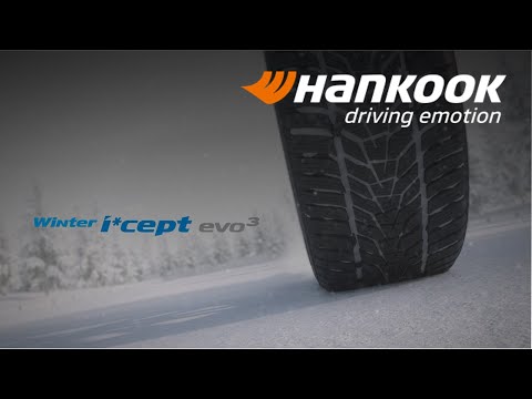 Миниатюра изображения товара Зимняя шина Hankook Winter i*cept evo3 W330 195/55R20 95H