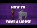 How To Tame A Horse ItsJerryAndHarry