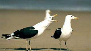 Moby - Isolate (Crushed Sheet Remix)