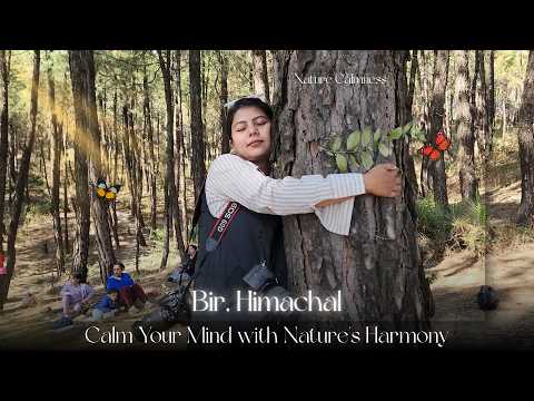 Bir Himachal Random Nature Views | Peaceful & Calm Vibes | Himachal Travel Vlog | Meet Pranil