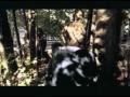 catch 22 - point the Blame (video)