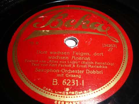 Saxophon Orchester Dobbri, Harry Steier, Dort wachsen Feigen, Foxtrot, 1927