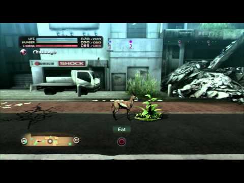 [P1LP2] Tokyo Jungle