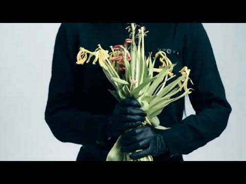 STRIDULUM & Blood Tears After - Шрами / Shramy