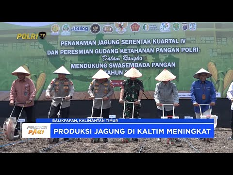 POLDA KALTIM GELAR PENANAMAN JAGUNG SERENTAK KUARTAL IV DUKUNG SWASEMBADA PANGAN