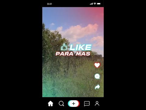 ¿Que Hay en el Cielo de Arroyo del Medio (Cap. 4)