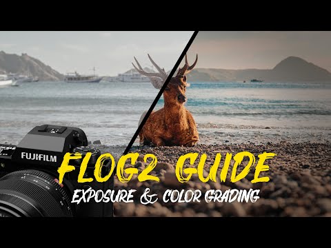 FUJIFILM X-S20 & X-H2S FLOG 2 Beginners GUIDE - Settings, Exposure and Color Grading