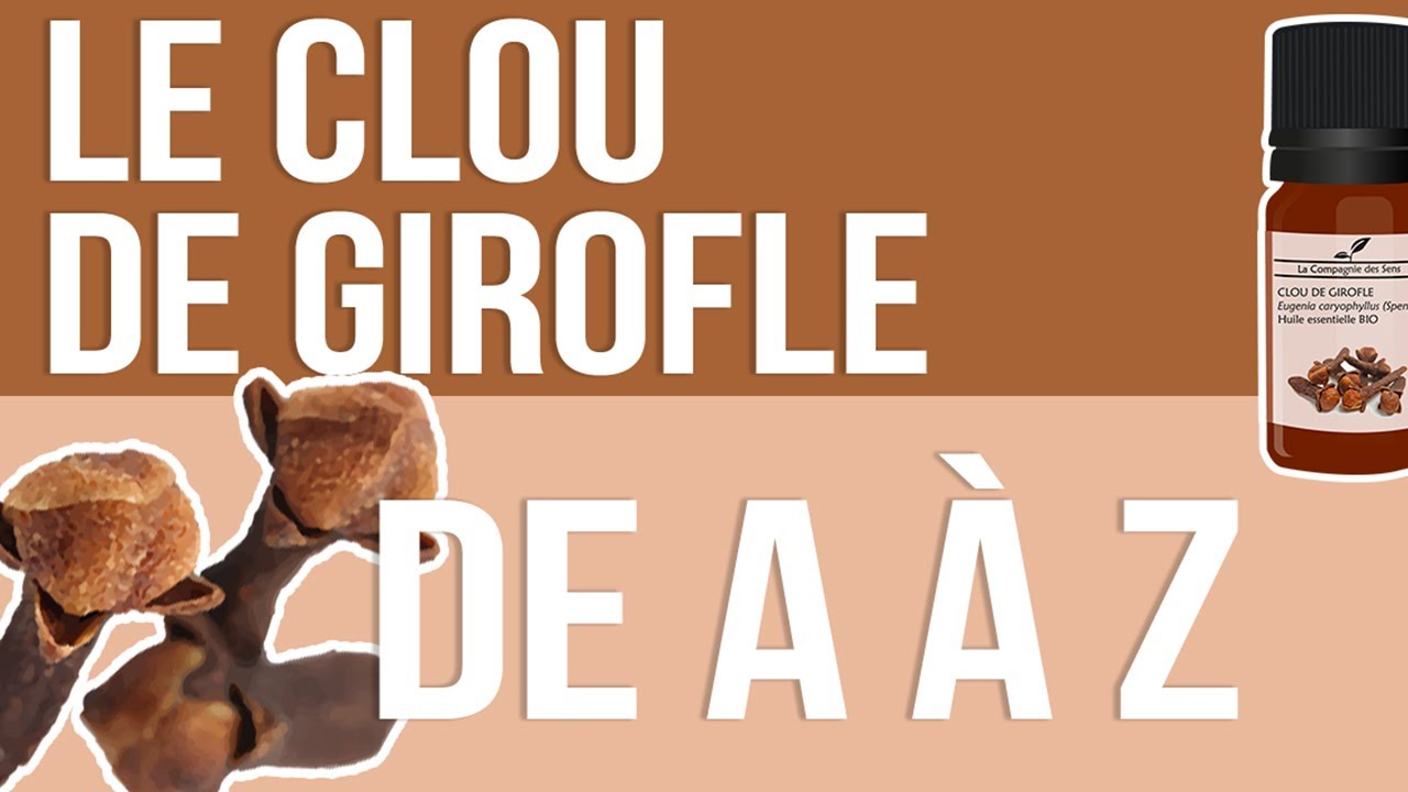 Huile Essentielle de Clou de Girofle 15 ml MARNYS.