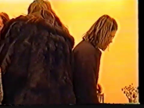 Psilocybe Larvae.  Тусовка