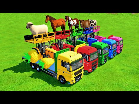 TRANSPORTING GOATS, SHEEPS, COWS, HORSES, BULLS AND TRACTORS WITH MAN TRUCKS! - Farming Simulator 22