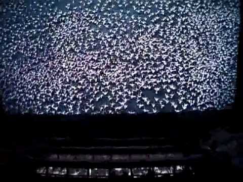 Making of de Voyageur du Ciel et de la Mer - Futuroscope