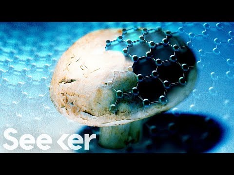 Why Scientists Used Graphene Nanoribbons to Engineer Bionic Mushrooms