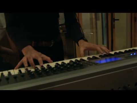 Red Light Company - Ting Tings Cover