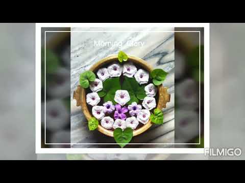 @#BEAUTIFUL FLOWER DECORATION 😍MY CREATION 😍PADMAJA CREATION 😍