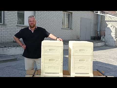 8 рамковий вулик ППУ «Дадан універсальний +3*145» (8 рам. Або 12 українських рам.) - фото 1 - id-p2333413868