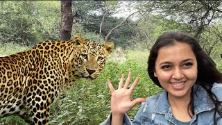 FULL DAY Spend at Safari Park Fun Time With Nature