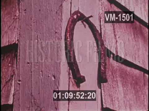 Americana Educational -  Cape Cod 1973