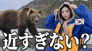 韓国彼女が知床で初めて野生のヒグマに出会う|北海道の旅