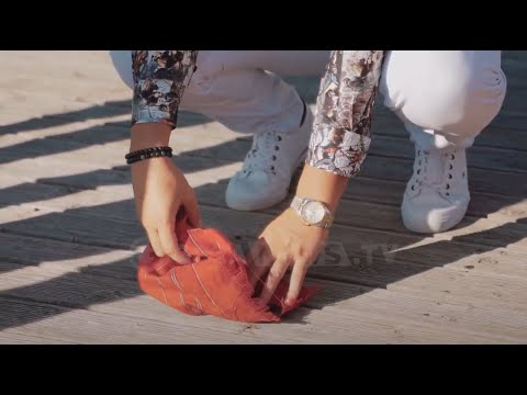 Misteri i Thesarit vazhdon - Gjuetaret e Thesarit