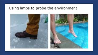 Haptic inspection of planetary soils with legged robots