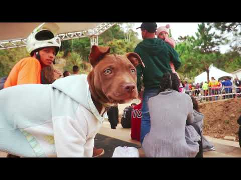 2ª Etapa Copa SP Downhill   São Roque